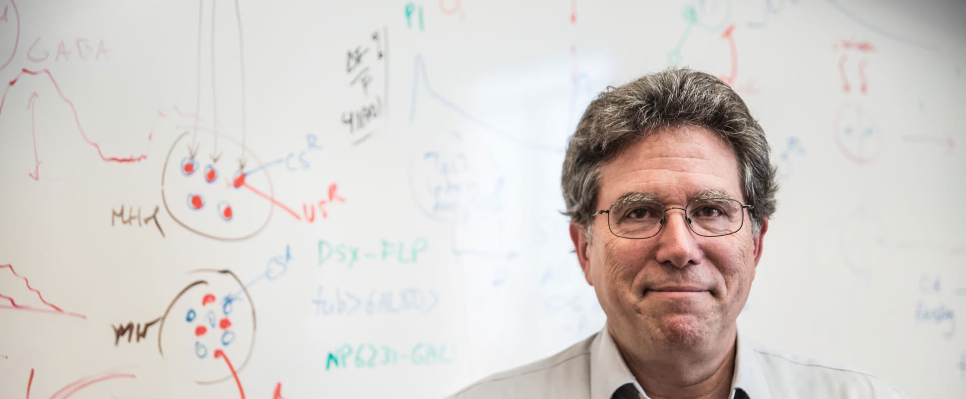 Caltech Researcher and Director of the Tianqiao and Chrissy Chen Institute for Neuroscience Wins Prestigious Neuroscience Prize