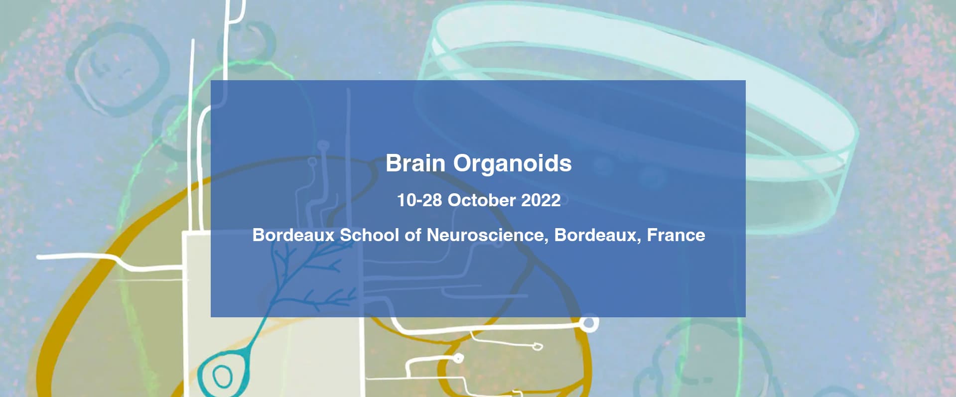 Brain Organoids Training Course