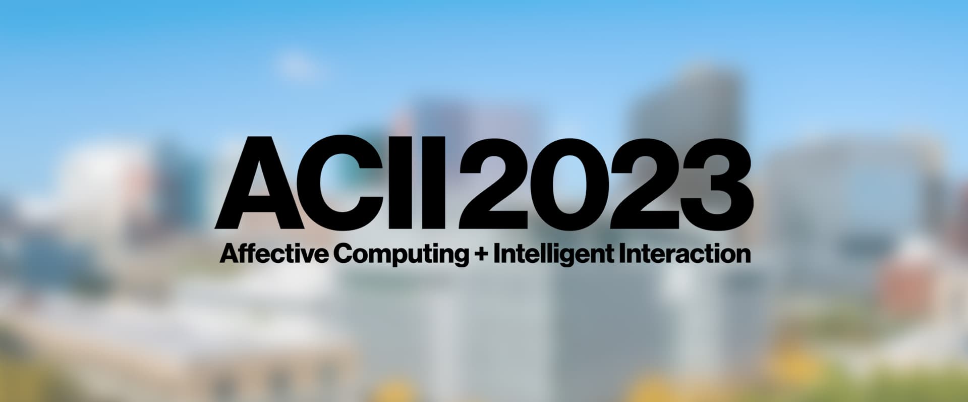 ACII 2023 meeting