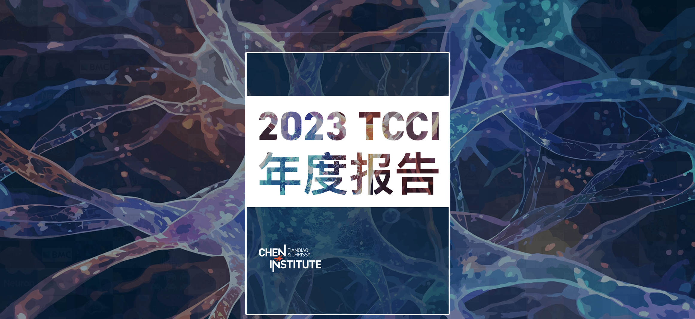 TCCI 2023年度报告