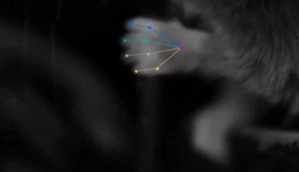 FENS-天桥脑科学研究院-NeuroLéman联合举办夏校,聚焦“运动控制:从思想到行为”