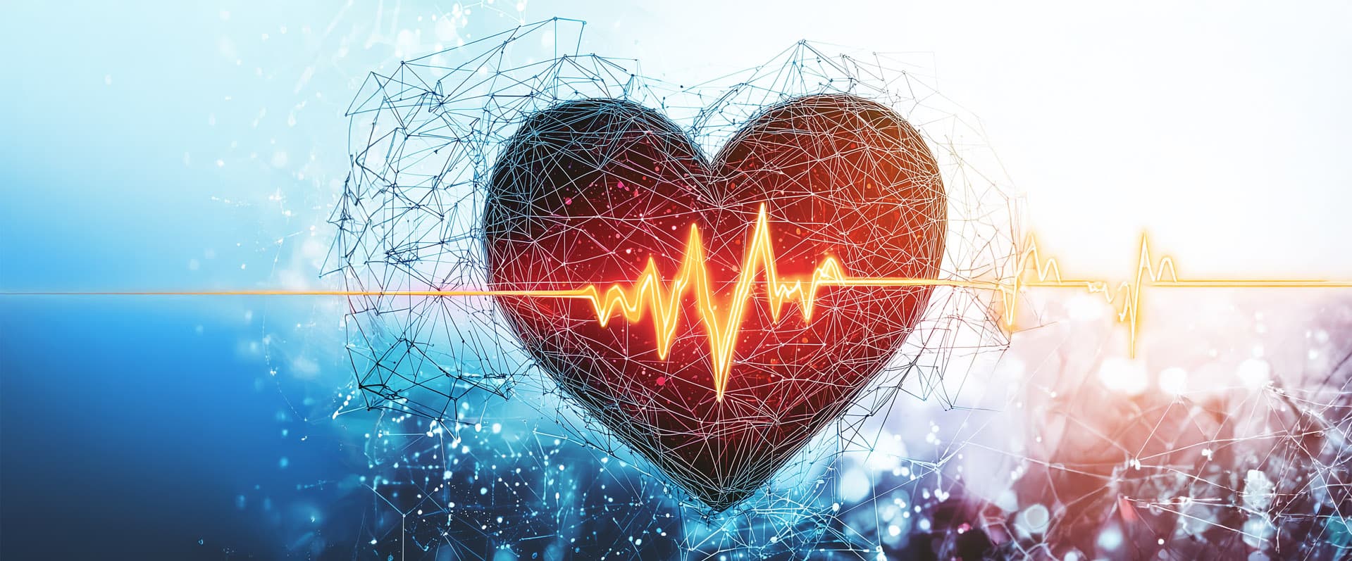 Ontology-guided machine learning outperforms zero-shot foundation models for cardiac ultrasound text reports